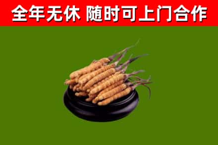 连城县烟酒回收冬虫夏草.jpg
